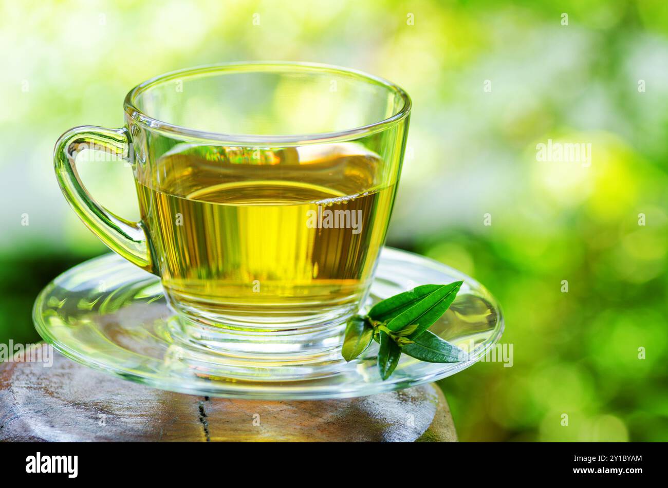 Tasse Tee auf Naturhintergrund. Stockfoto