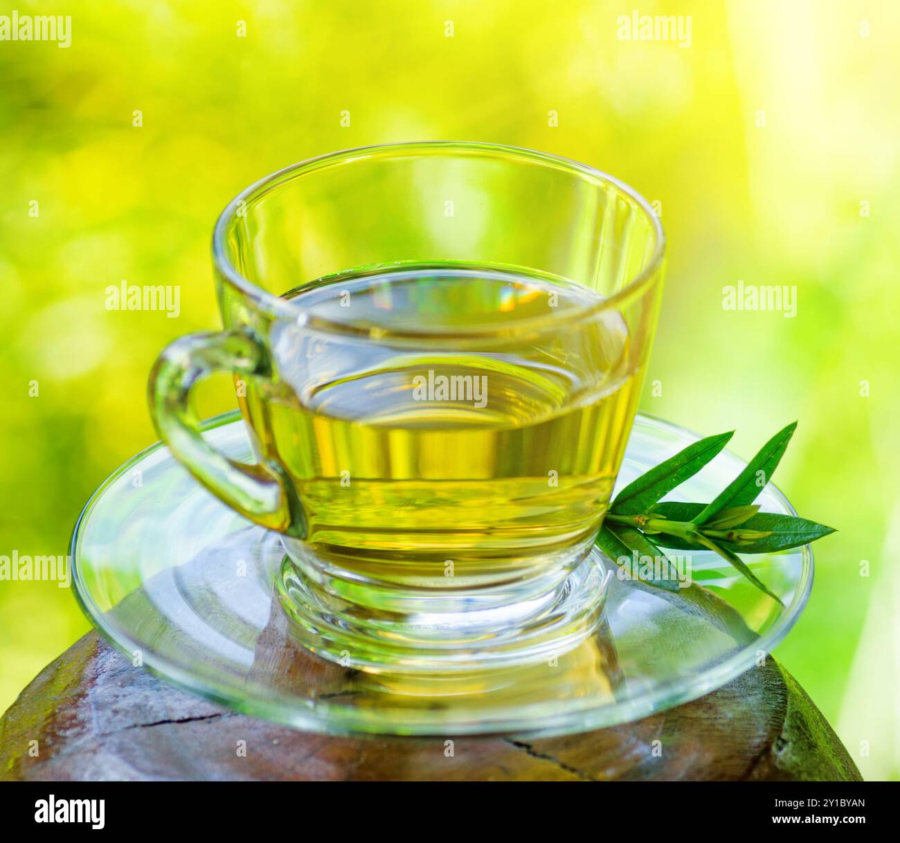 Tasse Tee auf Naturhintergrund. Stockfoto