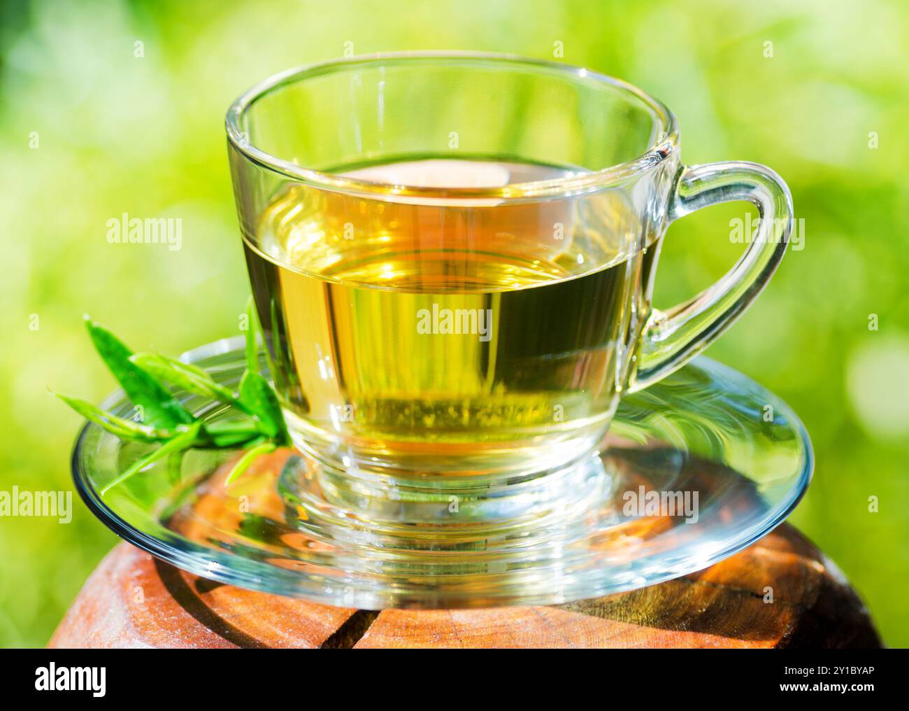Tasse Tee auf Naturhintergrund. Stockfoto