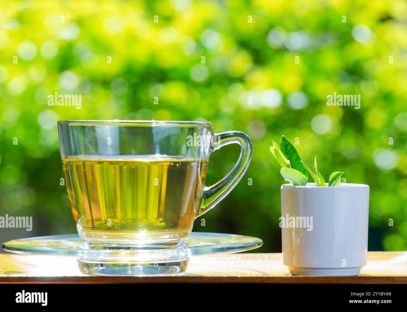 Tasse Tee auf Naturhintergrund. Stockfoto