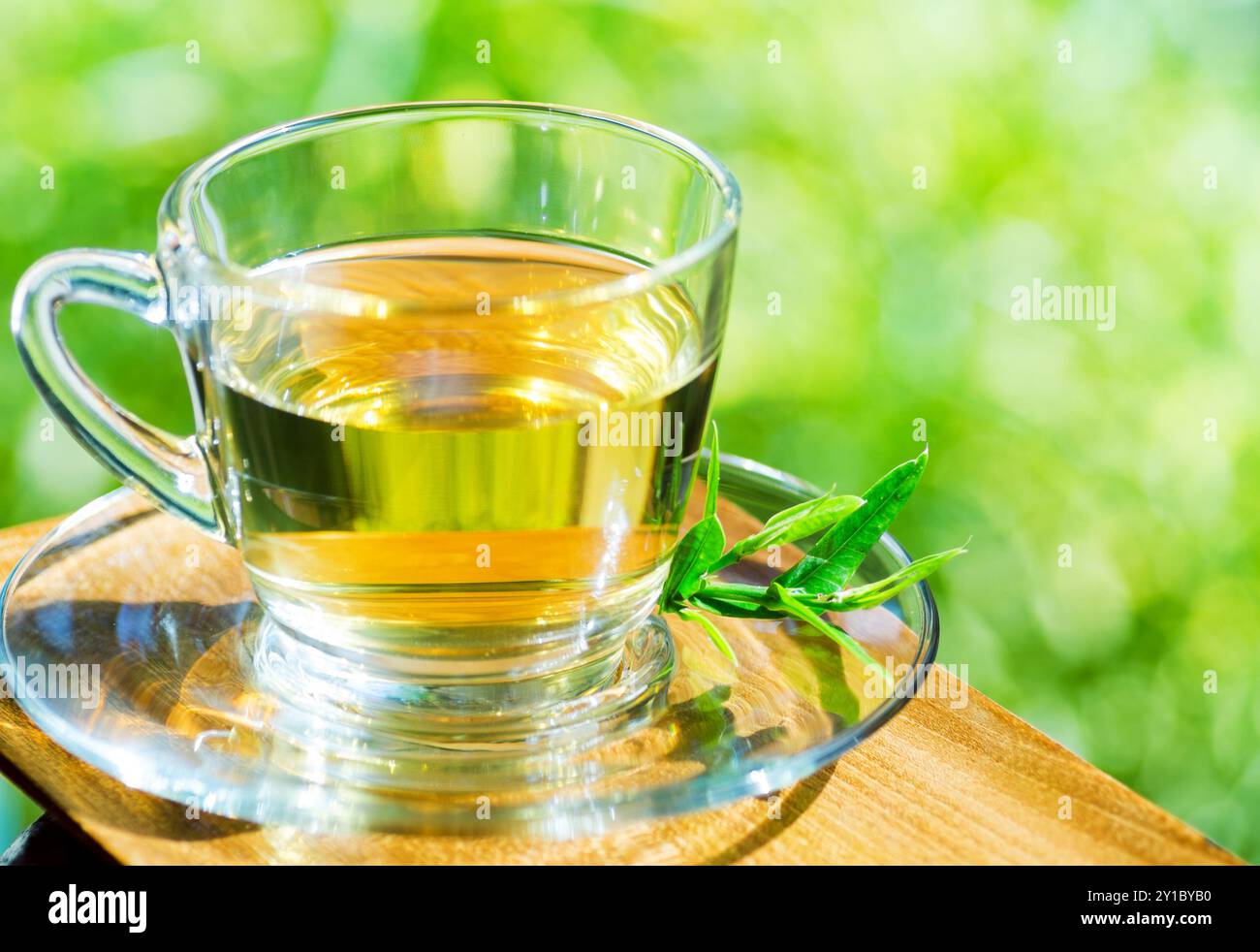 Tasse Tee auf Naturhintergrund. Stockfoto
