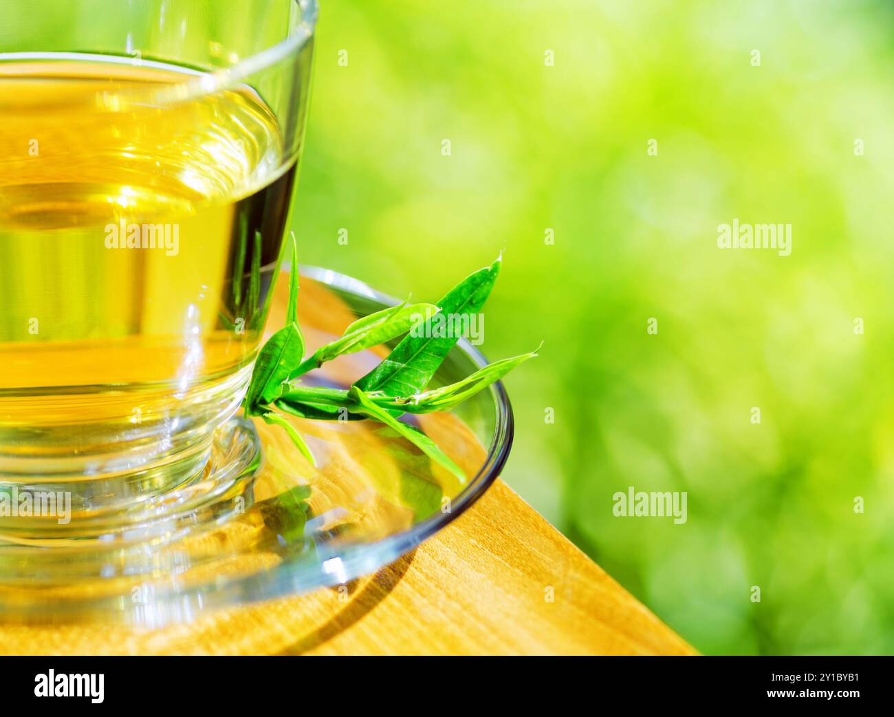 Tasse Tee auf Naturhintergrund. Stockfoto