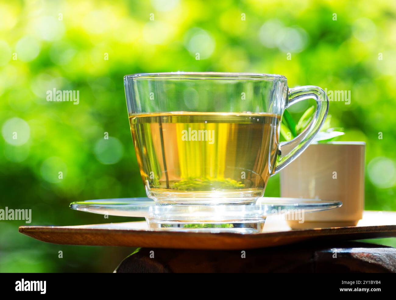 Tasse Tee auf Naturhintergrund. Stockfoto