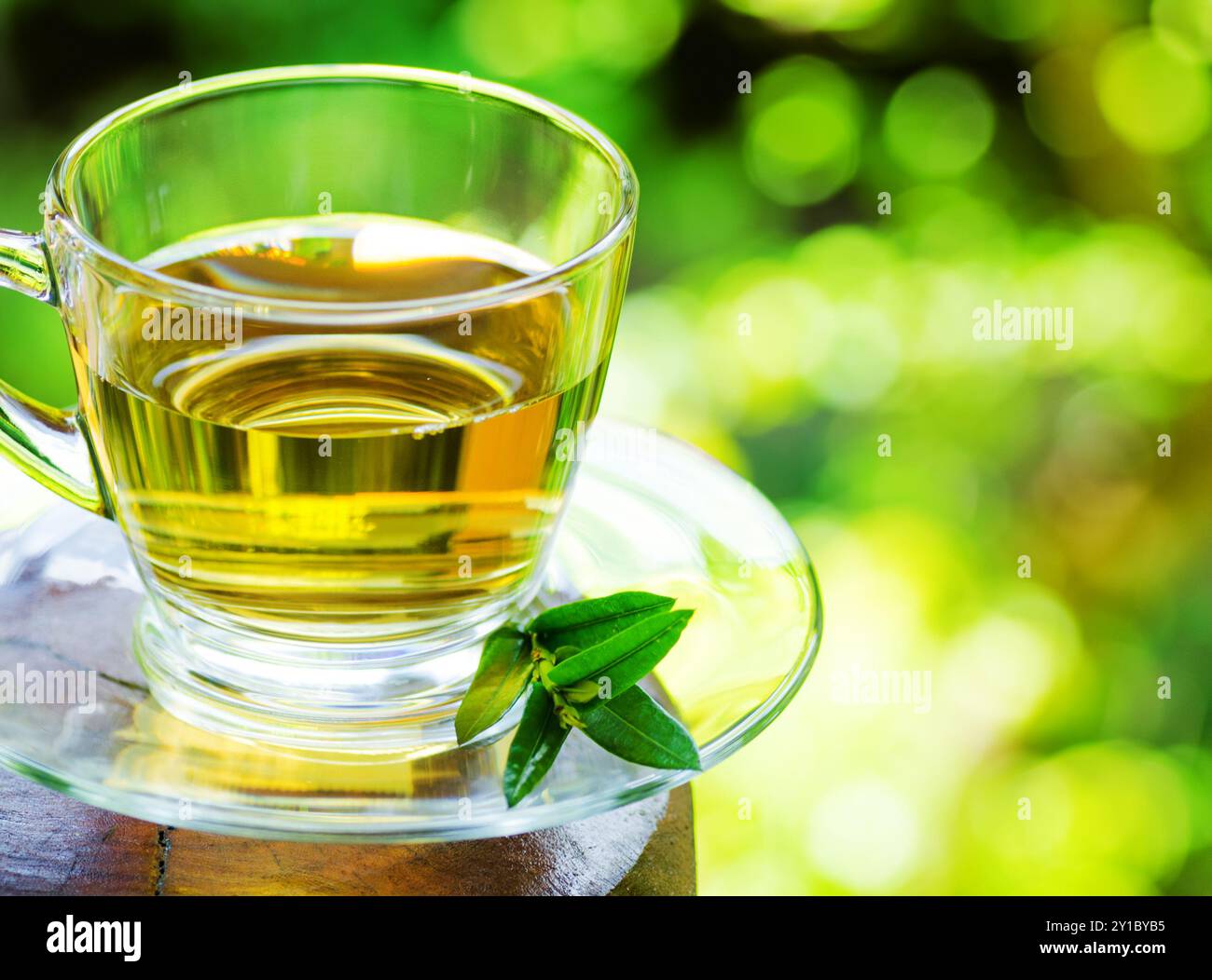 Tasse Tee auf Naturhintergrund. Stockfoto