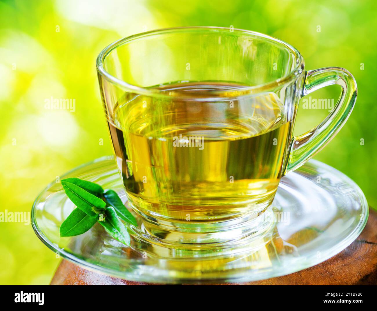 Tasse Tee auf Naturhintergrund. Stockfoto