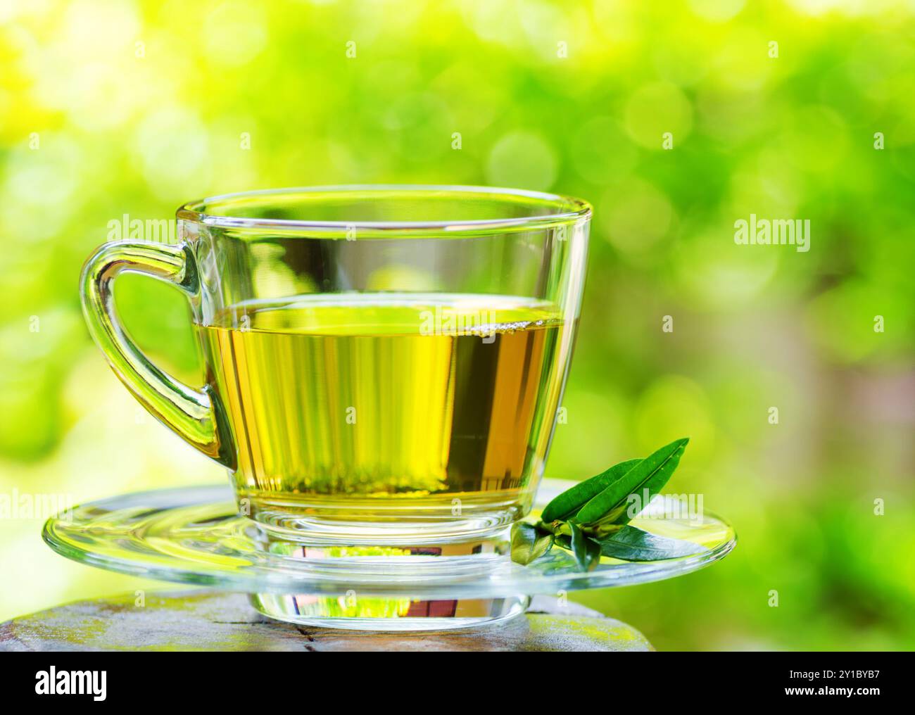 Tasse Tee auf Naturhintergrund. Stockfoto