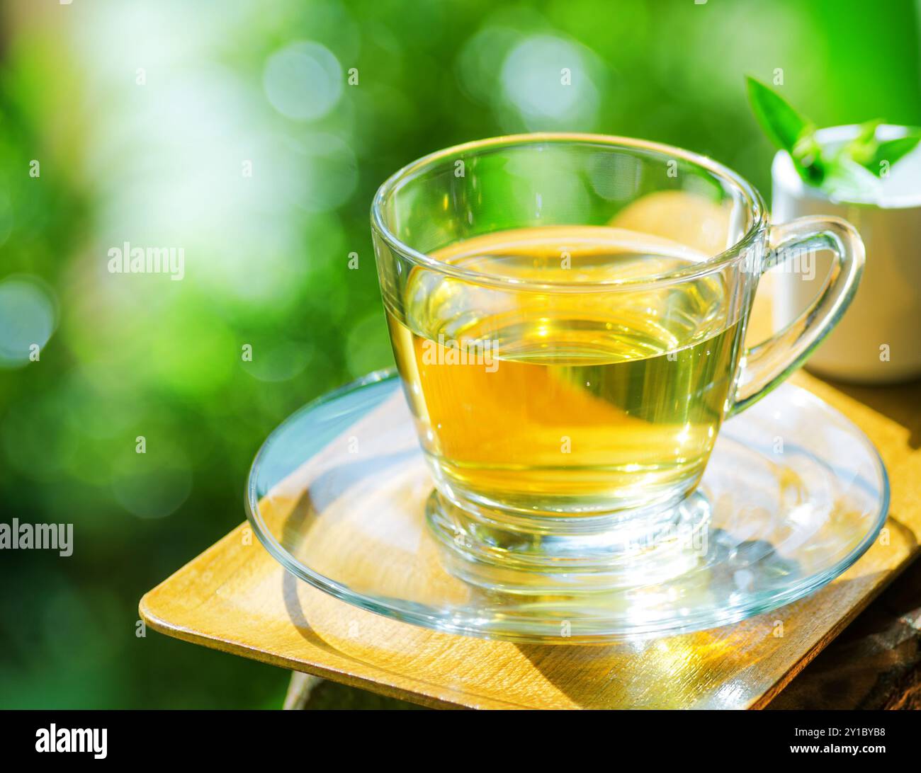Tasse Tee auf Naturhintergrund. Stockfoto