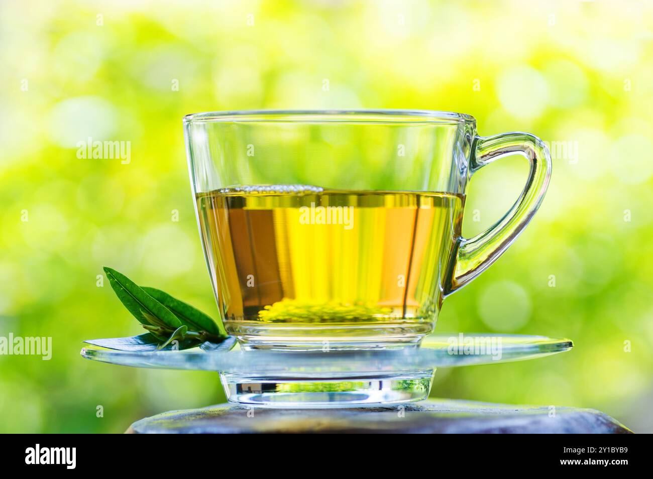Tasse Tee auf Naturhintergrund. Stockfoto