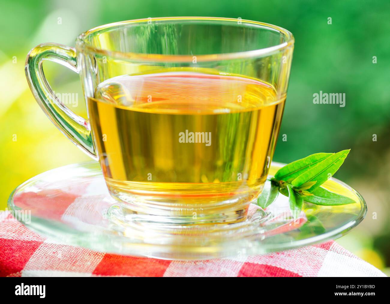Tasse Tee auf Naturhintergrund. Stockfoto