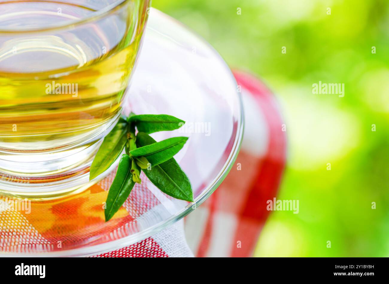 Tasse Tee auf Naturhintergrund. Stockfoto
