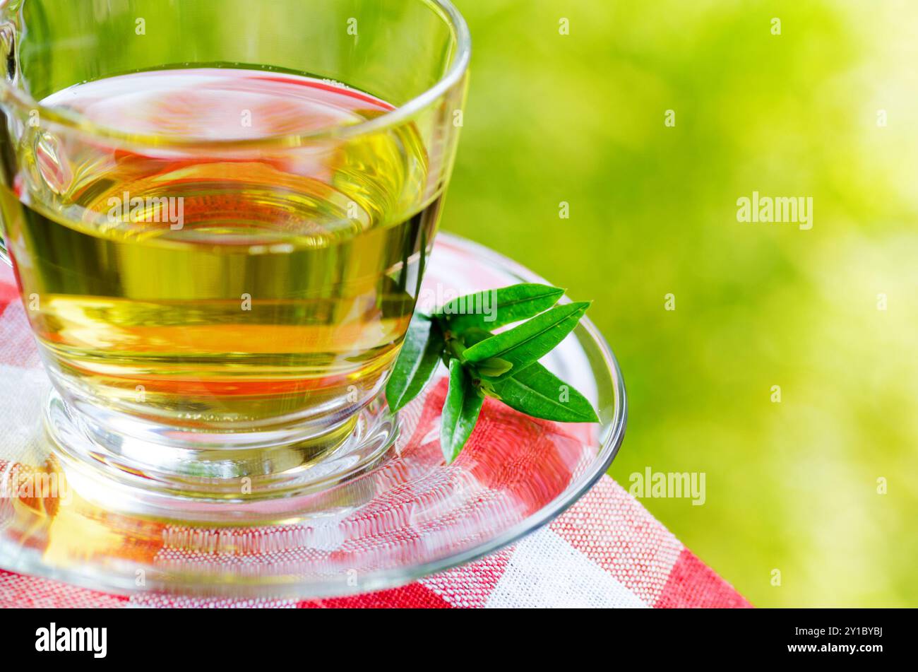 Tasse Tee auf Naturhintergrund. Stockfoto