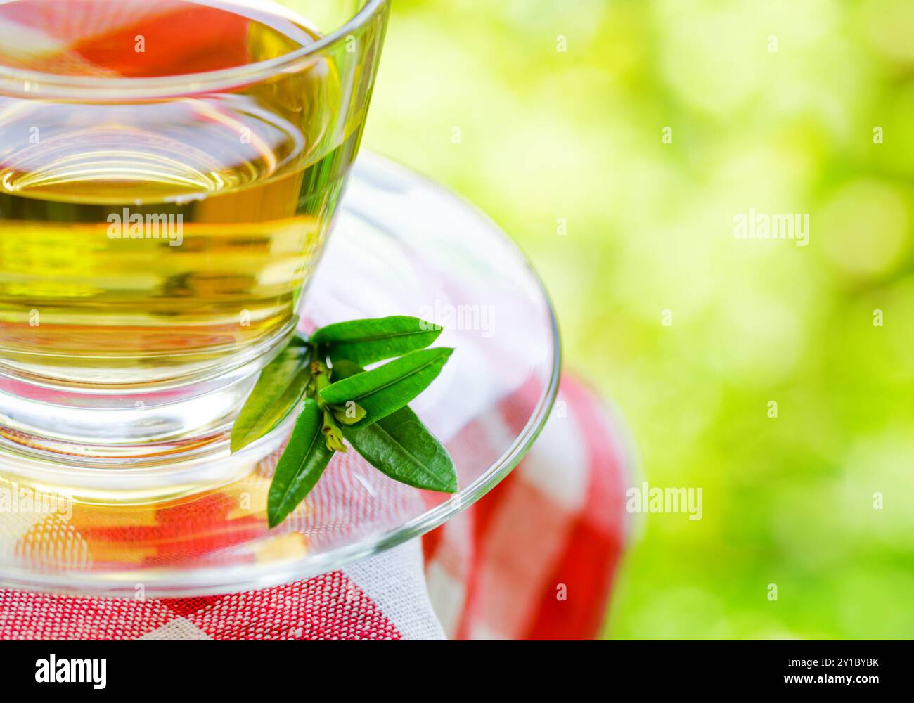 Tasse Tee auf Naturhintergrund. Stockfoto