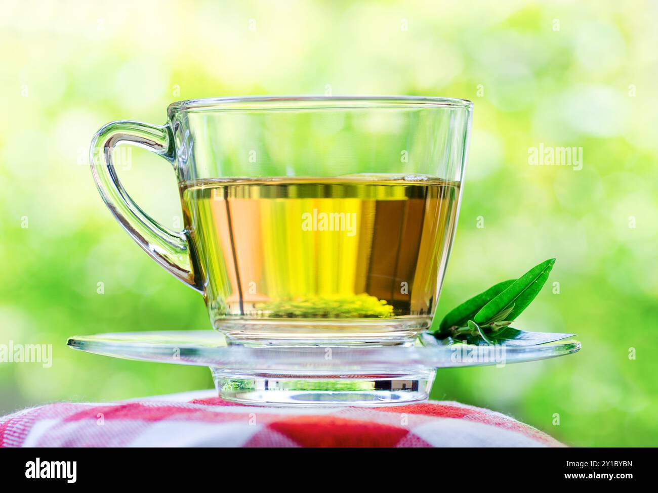 Tasse Tee auf Naturhintergrund. Stockfoto