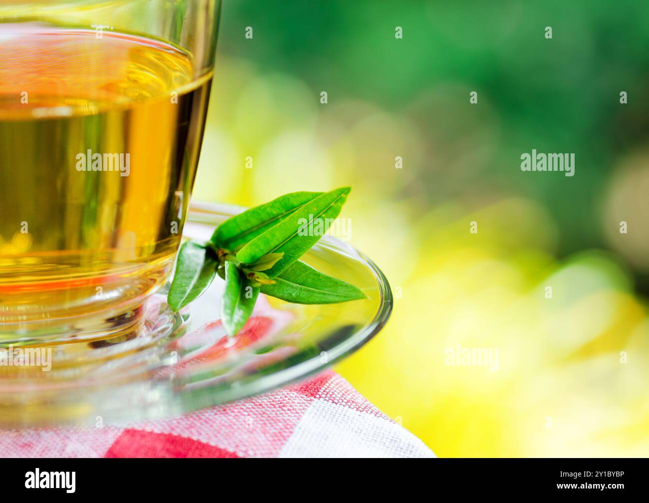 Tasse Tee auf Naturhintergrund. Stockfoto