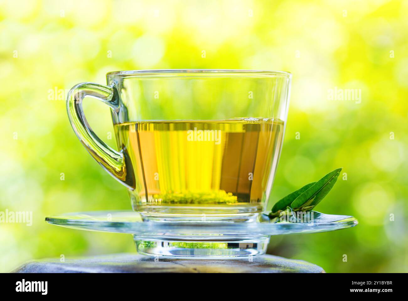 Tasse Tee auf Naturhintergrund. Stockfoto