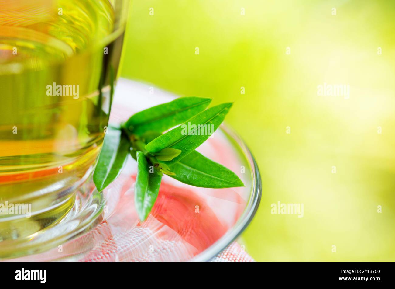 Tasse Tee auf Naturhintergrund. Stockfoto
