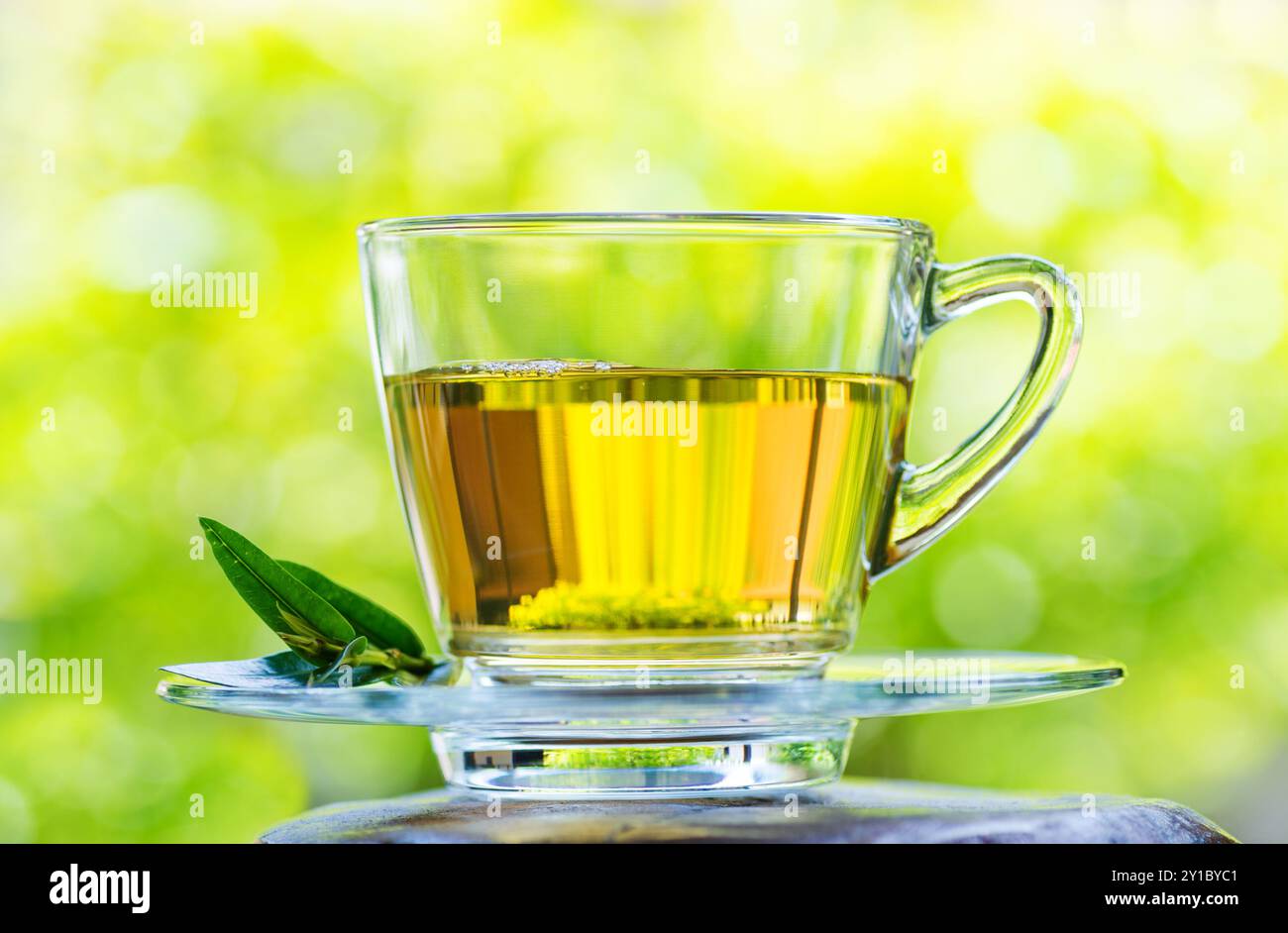 Tasse Tee auf Naturhintergrund. Stockfoto