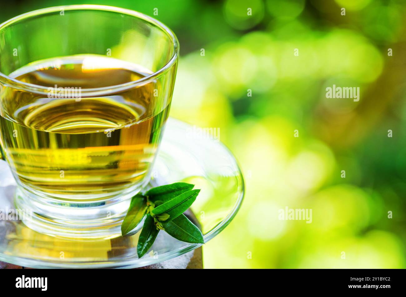 Tasse Tee auf Naturhintergrund. Stockfoto