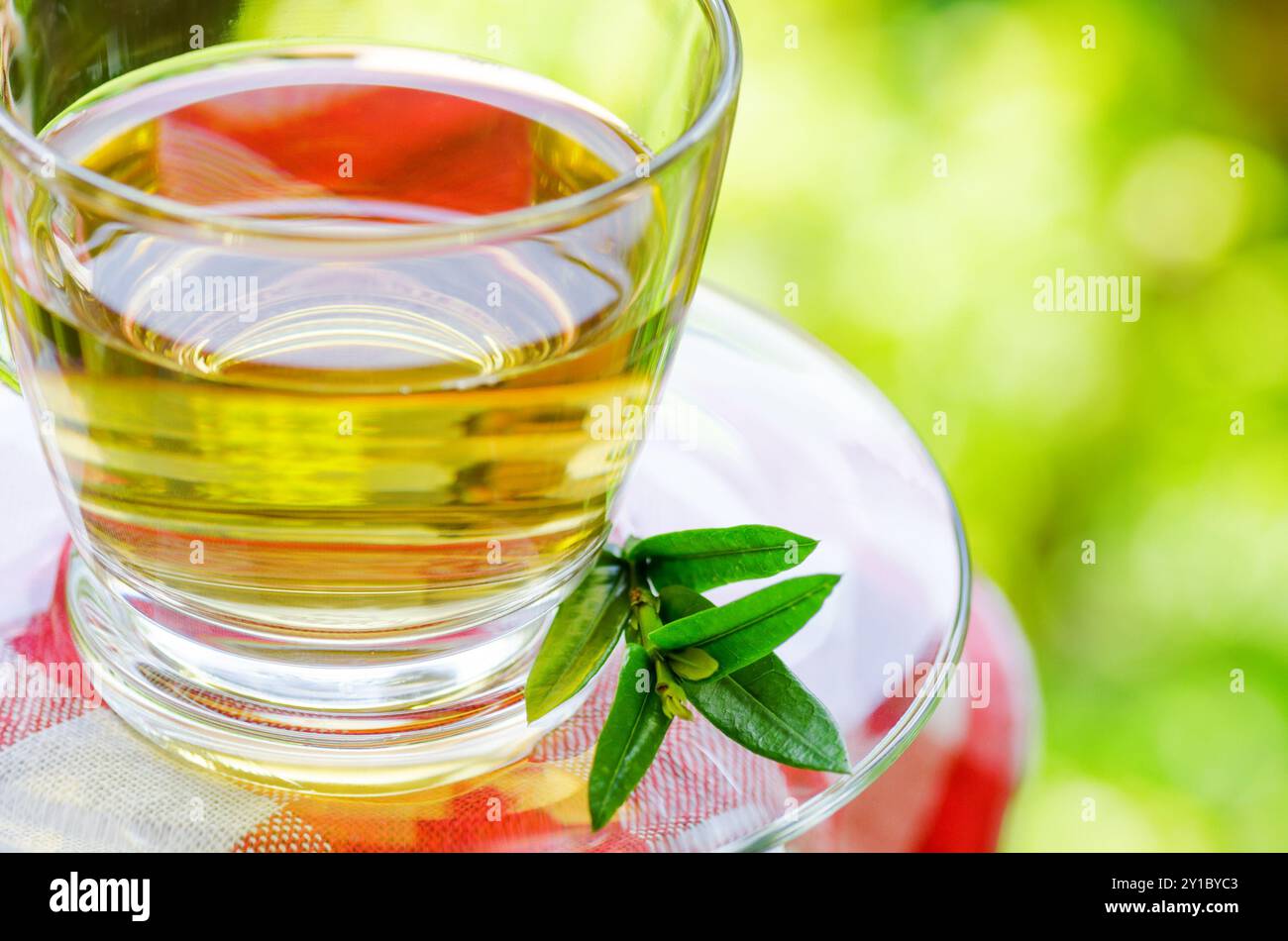 Tasse Tee auf Naturhintergrund. Stockfoto