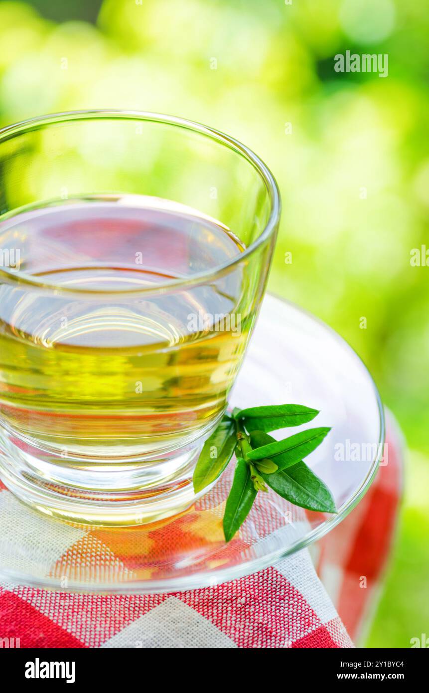 Tasse Tee auf Naturhintergrund. Stockfoto