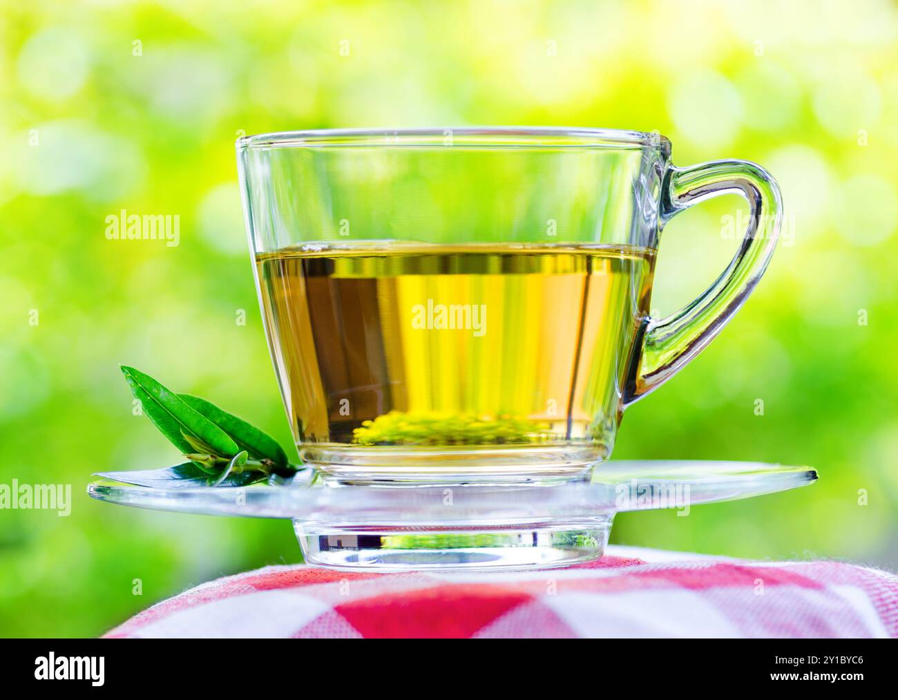 Tasse Tee auf Naturhintergrund. Stockfoto