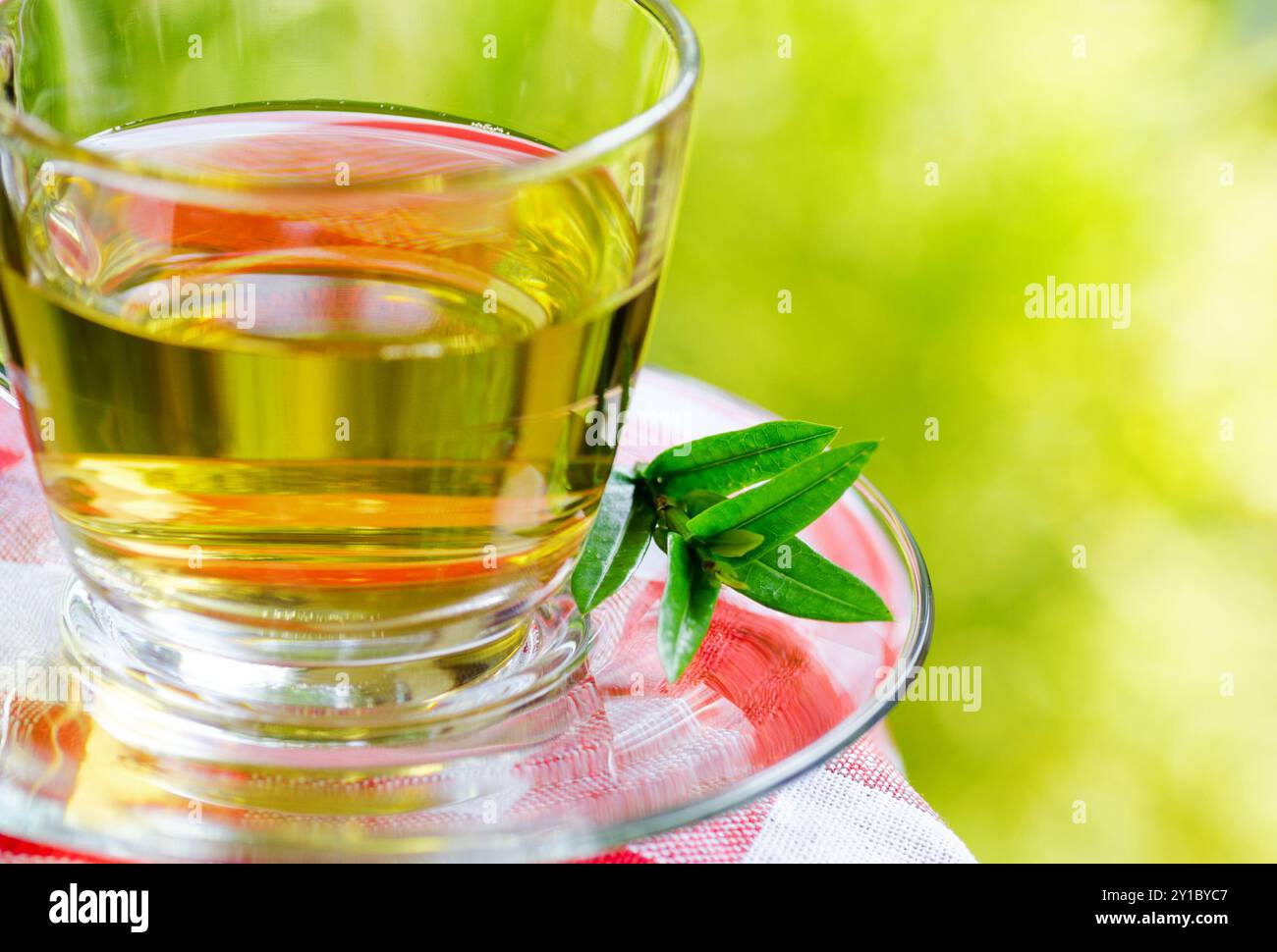 Tasse Tee auf Naturhintergrund. Stockfoto