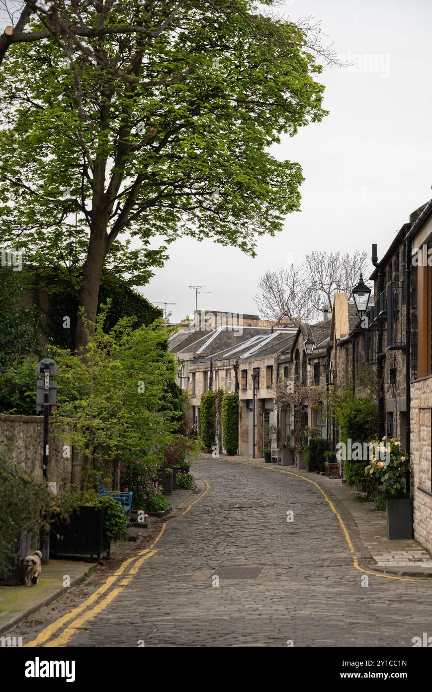 Circus Lane Straße und Häuser in Schottland an einem Frühling regnerischen Tag Stockfoto