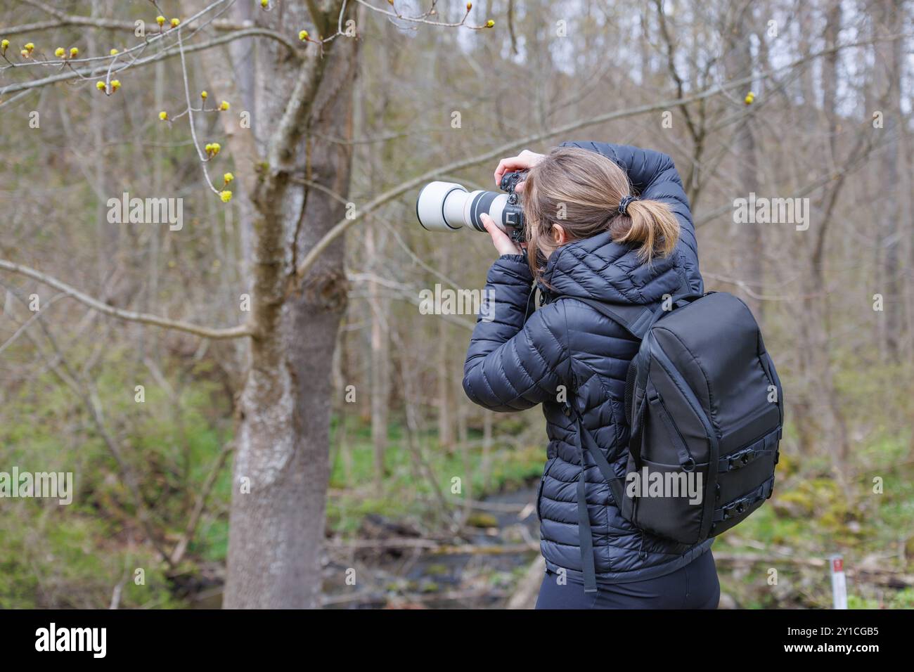 Fotograf, der die Natur mit Teleobjektiv einfängt Stockfoto