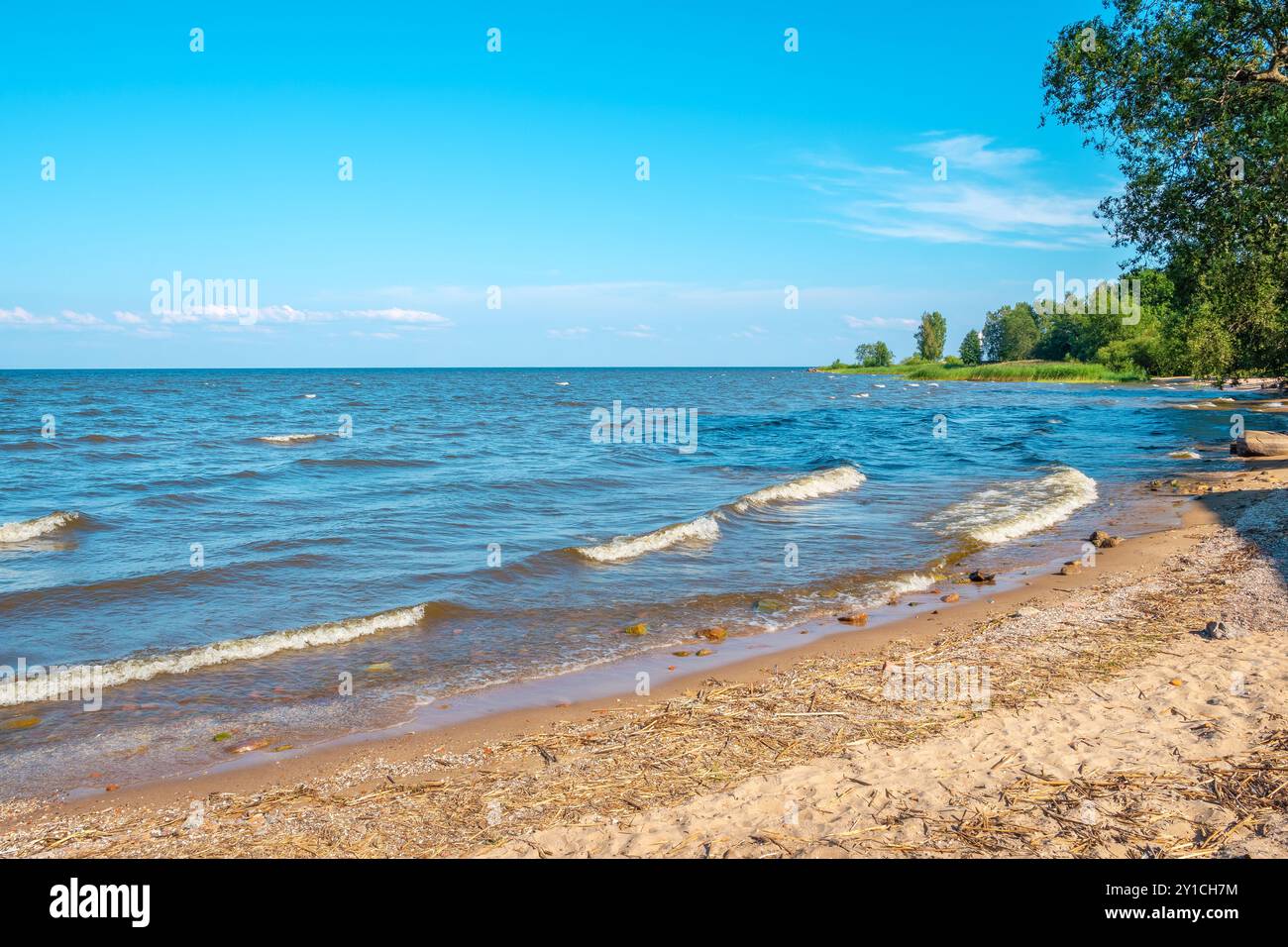 Kleiner Sandstrand an der Küste des Peipussees. Dorf Nina, Estland, Baltische Staaten Stockfoto