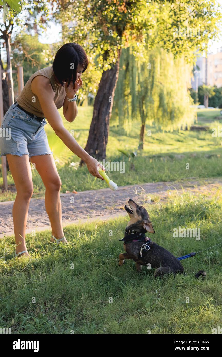 Lächelnde junge Frau geht und spielt mit einem kleinen Hund im öffentlichen Park. Stockfoto