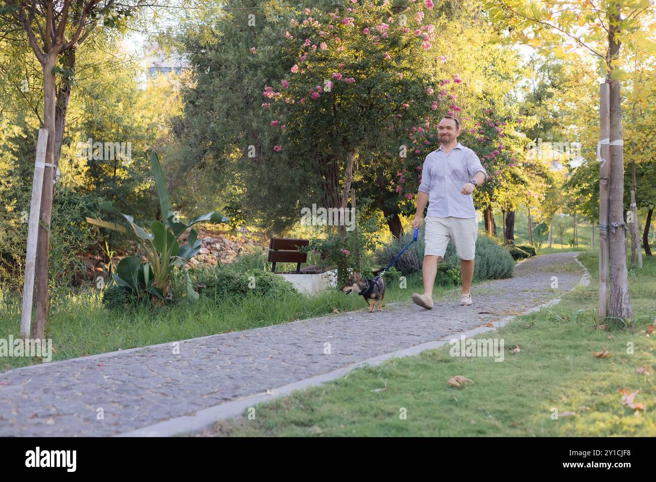 Ein lächelnder Mann mittleren Alters spaziert und spielt mit einem kleinen Hund im öffentlichen Park Stockfoto