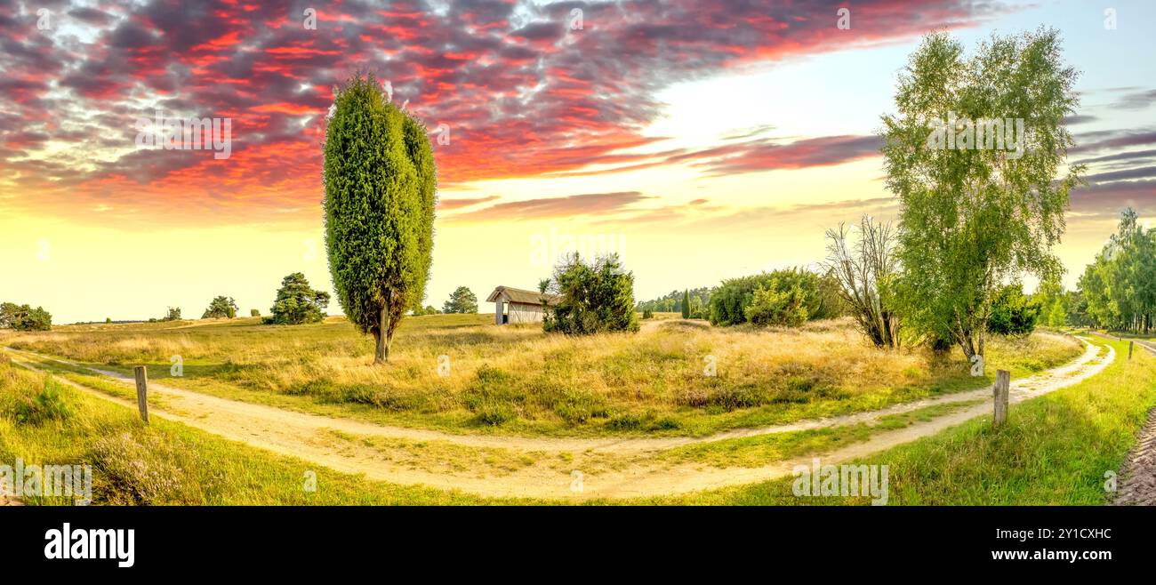 Lüneburger Heide, Deutschland Stockfoto