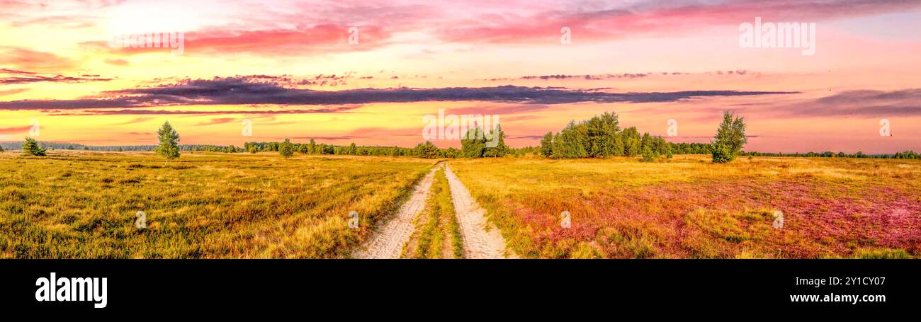 Lüneburger Heide, Deutschland Stockfoto