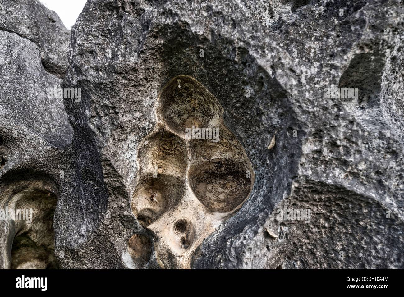 Leang Leang Geopark in Maros, Sulawesi, Indonesien, Asien Stockfoto