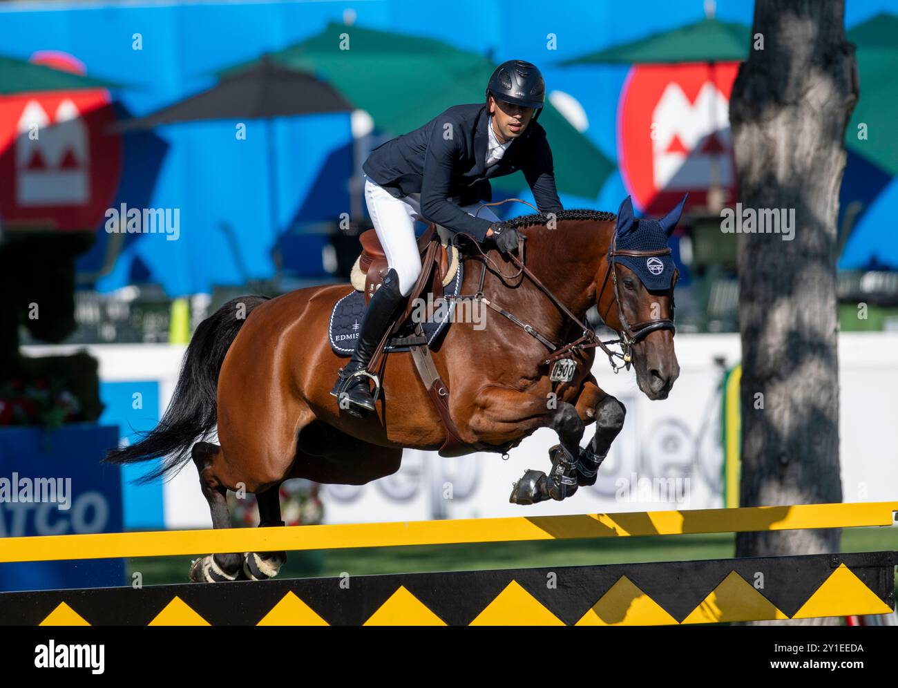 Calgary, Alberta, Kanada, 5. September 2024. Nayel Nassar (EGY) Riding Capital Night Star, The Masters Springreiten, Cana Cup Stockfoto