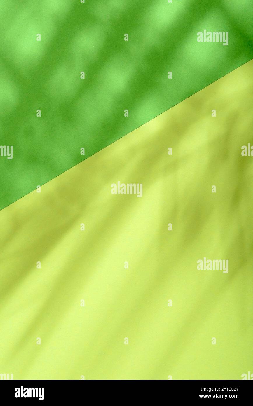 Pastellfarbener Hintergrund mit tropischem Palmblattschatten. Leuchtend grüne Papierstruktur mit exotischem Sommerlayout in Pflanzentönen. Minimaler flacher Auflagebereich mit botan Stockfoto