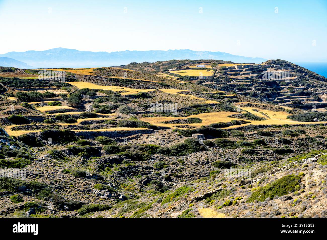 Griechenland, Kykladen, Amorgos, Landwirtschaft beim Dorf Vroutsi, Stockfoto