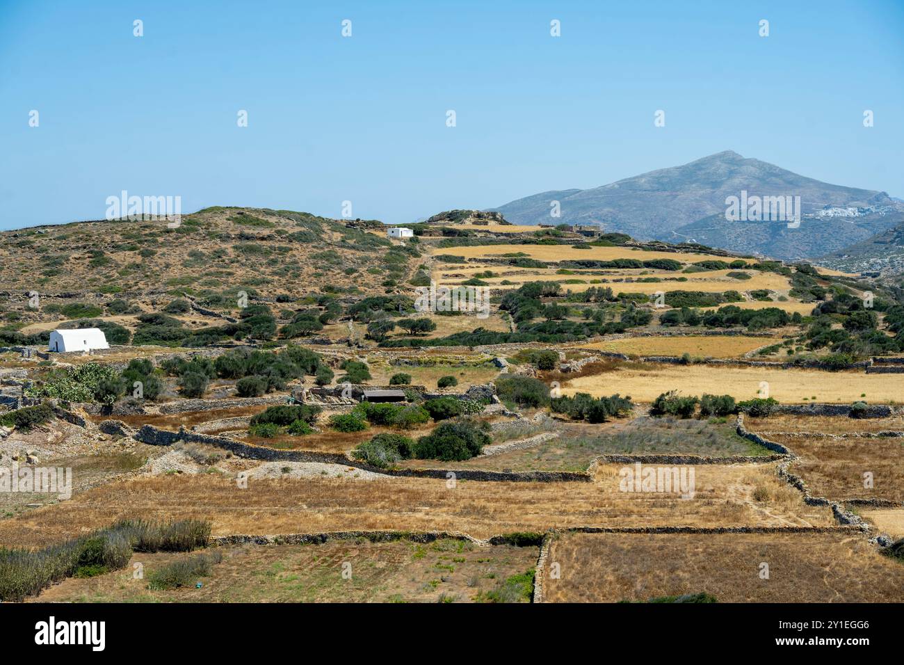Griechenland, Kykladen, Amorgos, Landwirtschaft beim Dorf Vroutsi, Stockfoto