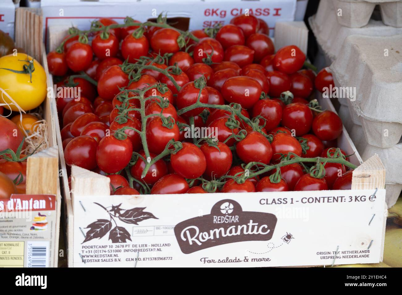 Redstar Tomaten auf einem Marktstand, Großbritannien Stockfoto