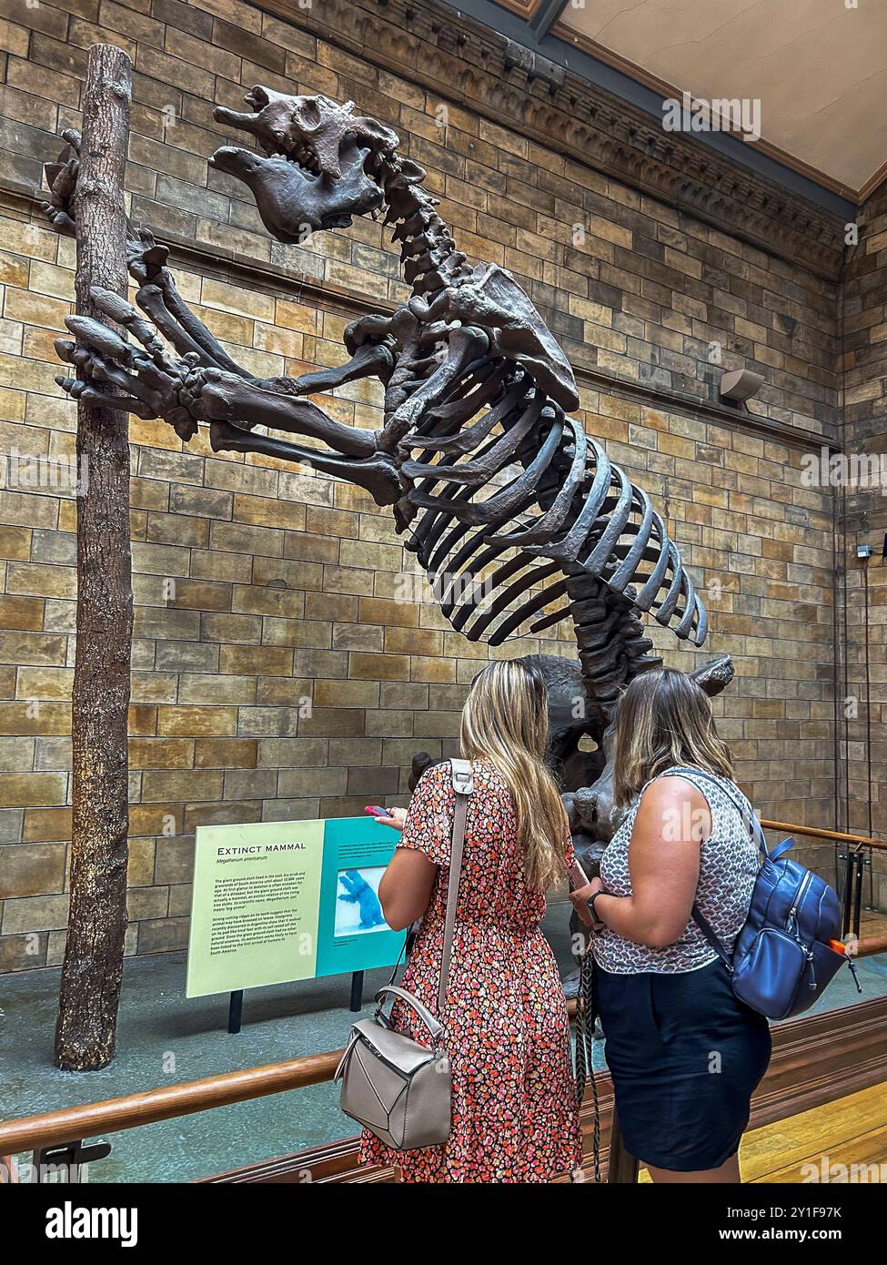 London, Großbritannien, Touristen, Frauen, Menschen, Besuch Des Naturkundemuseums, Des Skeletts „Giant Ground Sloth“, Der Ausstellung, Der „Hintze Hall“ Stockfoto