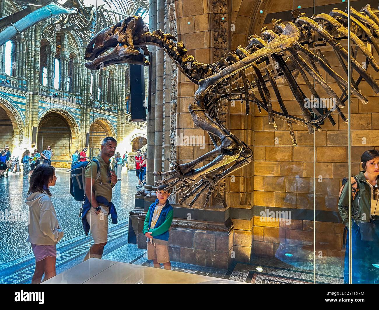 London, Großbritannien, Gruppentouristen, Menschen, Familie, Besuch des Naturkundemuseums, Dinosaurier Skeleton, Ausstellung, „Hintze Halle » Kinder“ Stockfoto