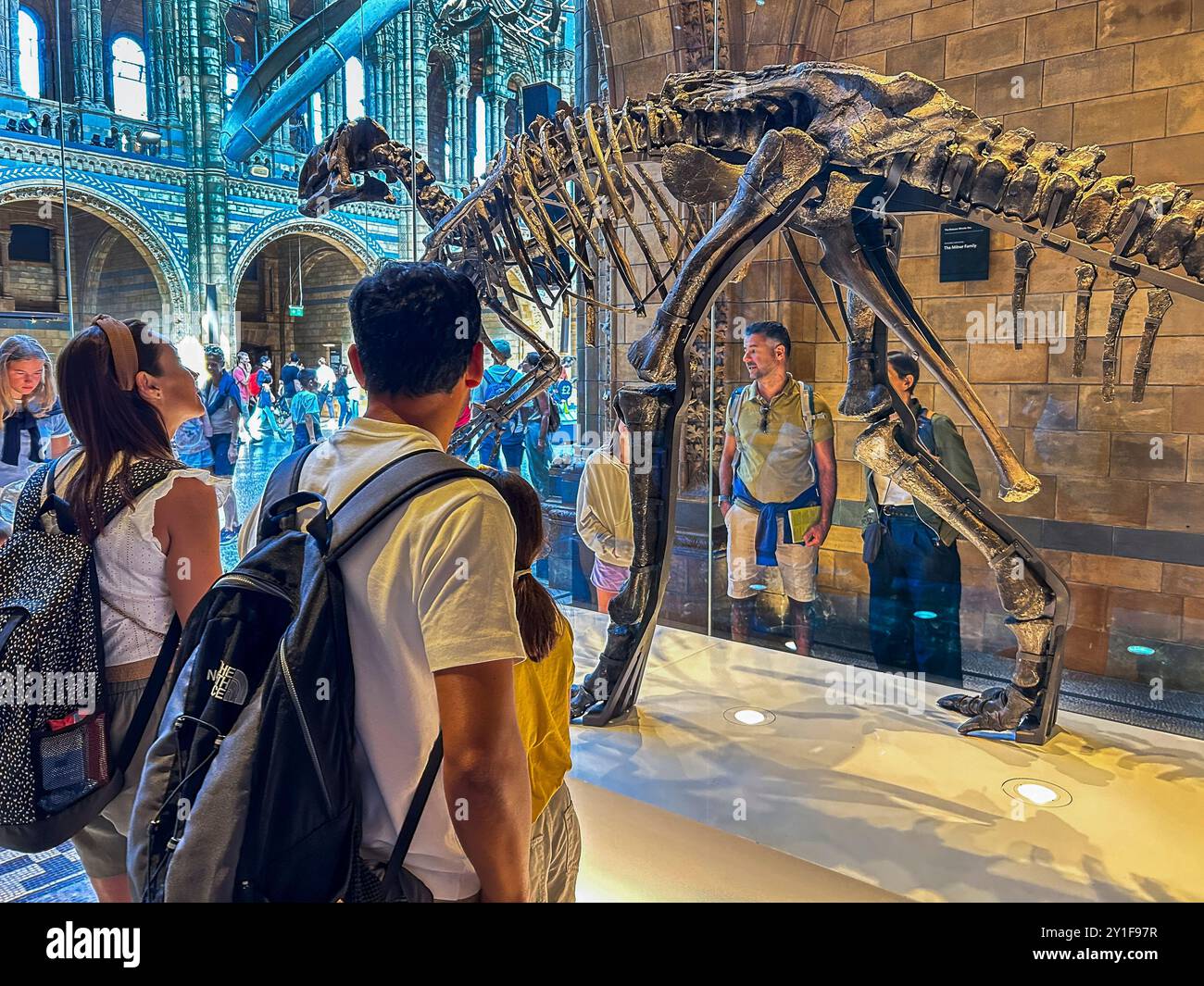 London, Großbritannien, Gruppentouristen, Menschen, Besuch des Naturhistorischen Museums, Dinosaurier Skeleton, Ausstellung, „Hintze Hall“ Stockfoto