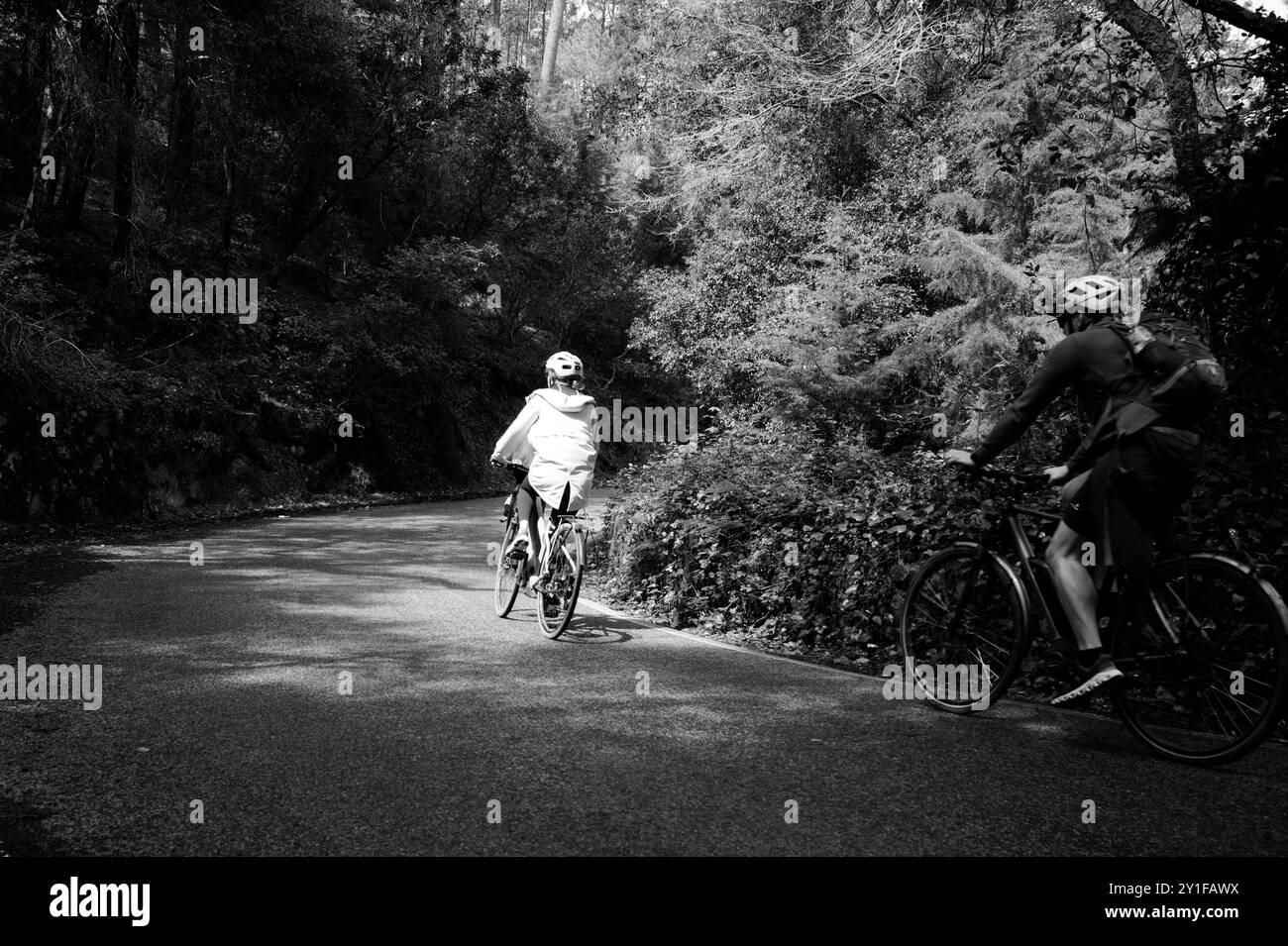 Monochrom von Radfahrern, die durch einen schattigen Wald in Sintra fahren Stockfoto