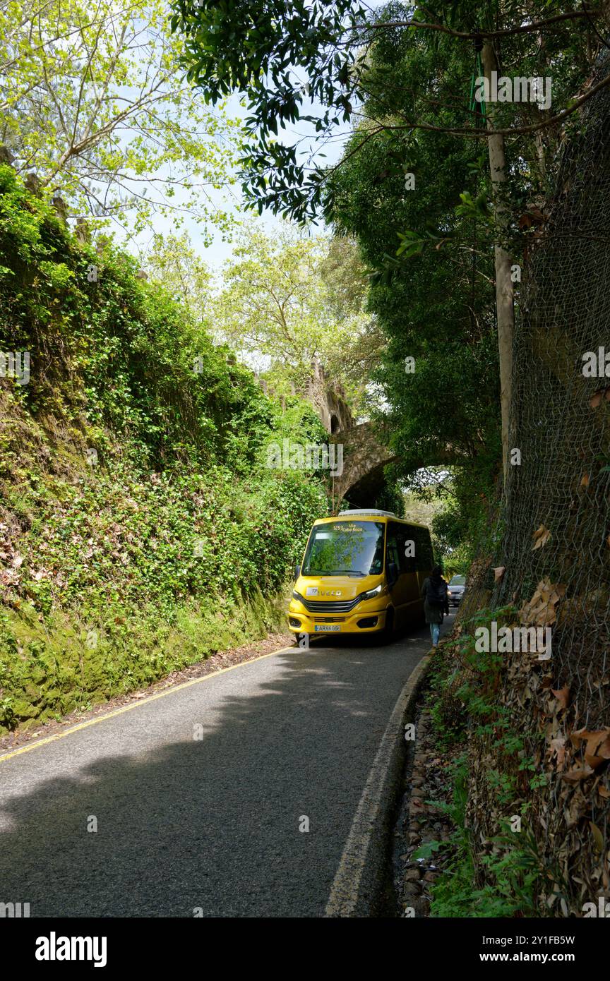 Gelber Transportbus, der durch eine schmale Forststraße in Sintra fährt Stockfoto