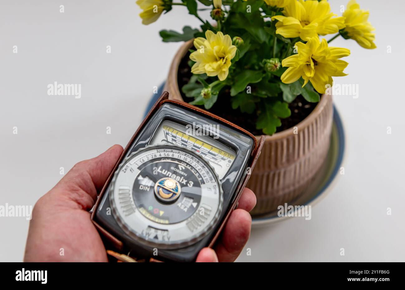 London. UK- 09.03.2024. Eine Person, die ein Lichtmessgerät für die Vintage-Fotografie an einem Motiv verwendet, um die richtige Belichtung zu erhalten. Stockfoto