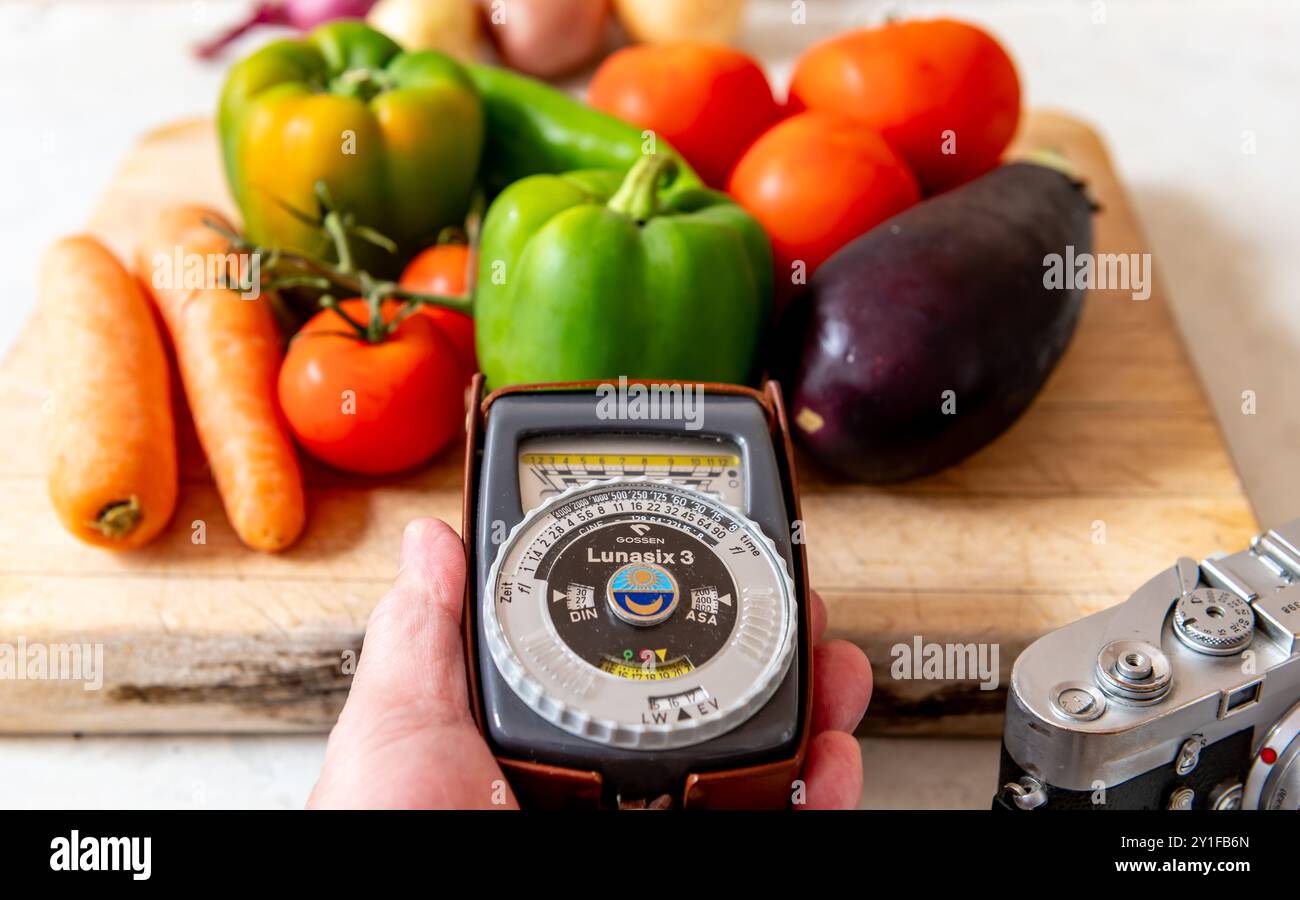 London. UK- 09.03.2024. Eine Person, die ein Lichtmessgerät für die Vintage-Fotografie an einem Motiv verwendet, um die richtige Belichtung zu erhalten. Stockfoto