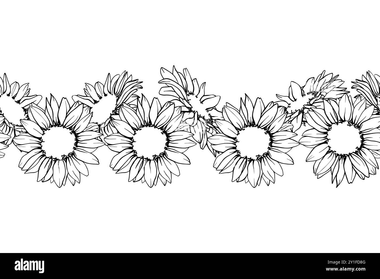 Nahtloser Rand mit Sonnenblumen. Hand zeichnen Sketch Stift und Tinte Vintage Vektor Illustration auf weißem Hintergrund. Botanische grafische Gravur Stock Vektor