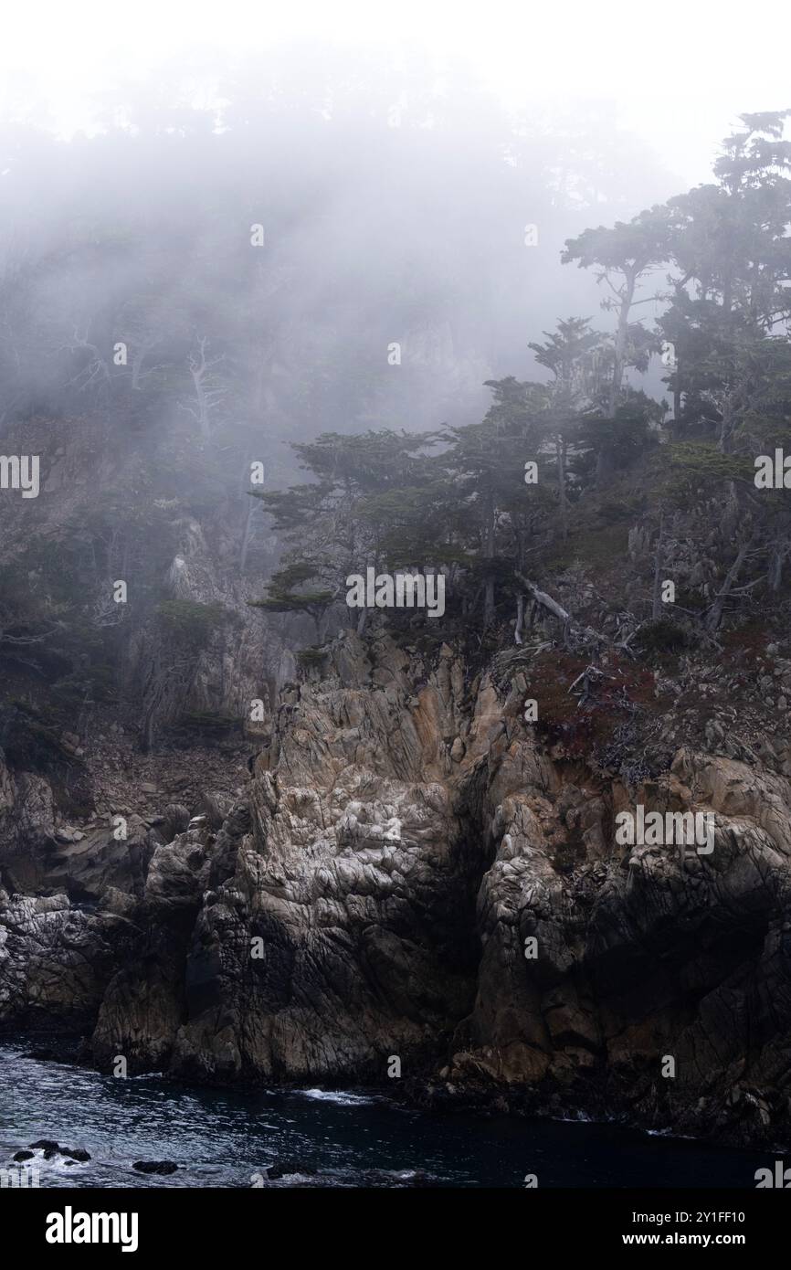 Nebliger Nebel zwischen Felsen und Bäumen entlang der Pazifikküste im Point Lobos State Natural Preserve Park Stockfoto