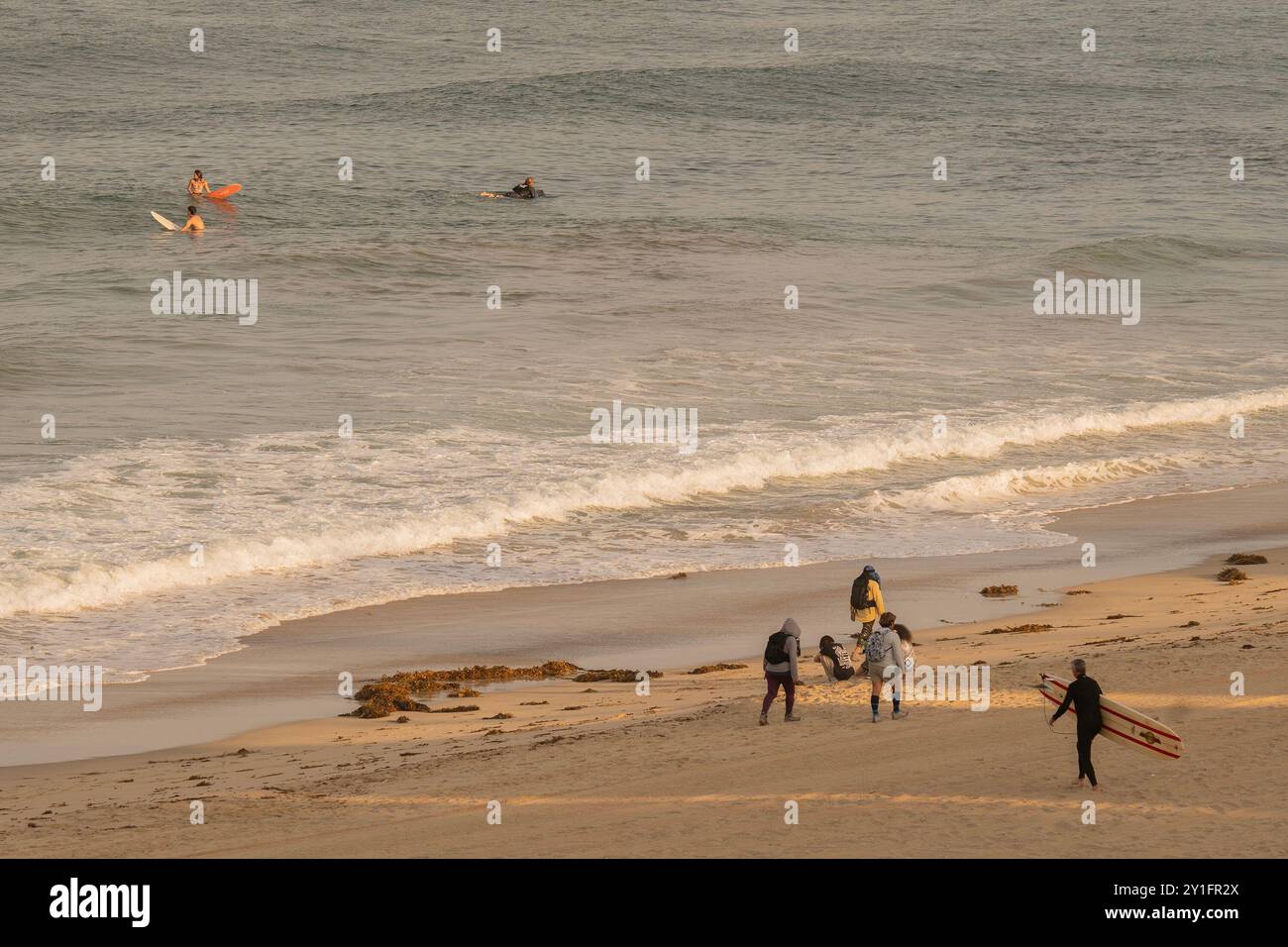 Los Angeles, Kalifornien, USA. September 2024. Das Gesundheitsministerium des Los Angeles County gab eine Warnung für einige Strände in Südkalifornien wegen hoher Bakterienkonzentrationen heraus. Gesundheitsbeamte warnten die Menschen davor, in den Meeresgewässern an diesen Orten zu schwimmen, zu surfen oder zu spielen. Die Gesundheitsabteilung sagte, dass jene Orte gefunden wurden, um bakterielle Niveaus zu haben, die Gesundheitsstandards überstiegen, als sie zuletzt getestet wurden. (Kreditbild: © Alberto Sibaja/Pacific Press via ZUMA Press Wire) NUR REDAKTIONELLE VERWENDUNG! Nicht für kommerzielle ZWECKE! Quelle: ZUMA Press, Inc./Alamy Live News Stockfoto