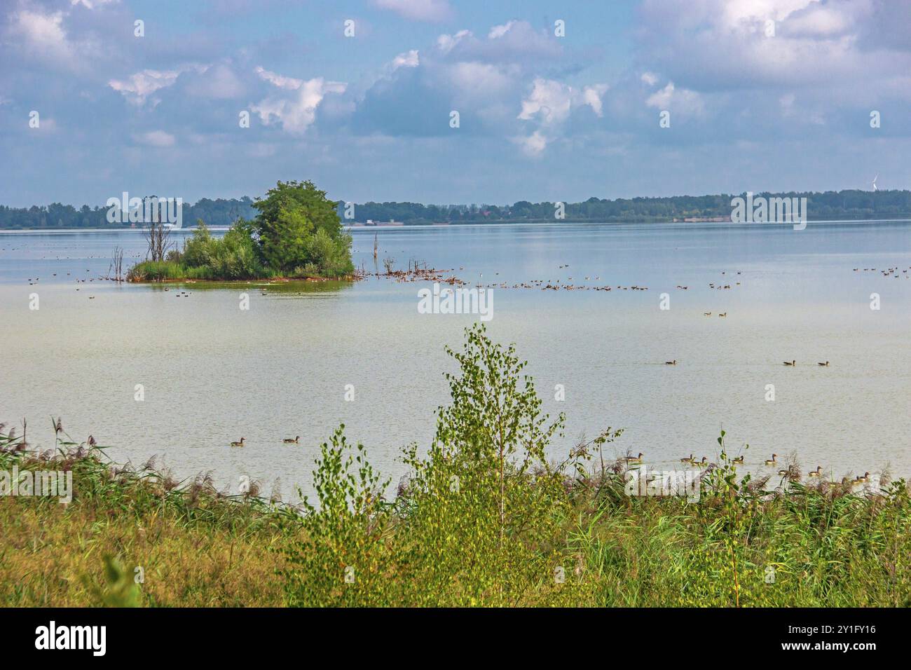 Schlabendorfer See Stockfoto